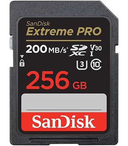 SDカード　256gb v60 Amazon | SanDisk 256GB Extreme PRO SDXCカード SDカード SDカード